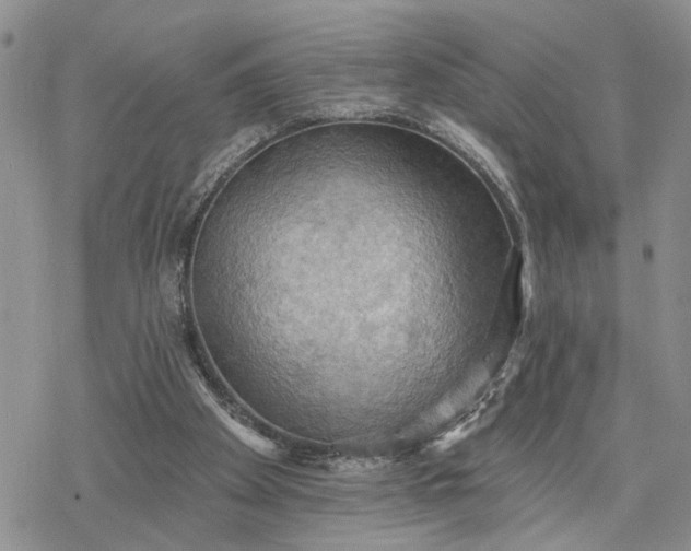 X0000078230105200611171443