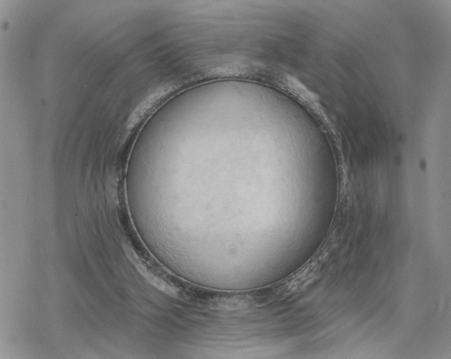 X0000078230106200611171443