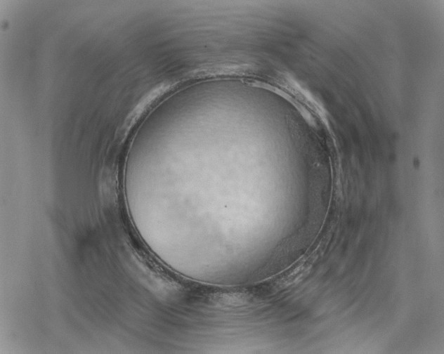 X0000078230107200611171443