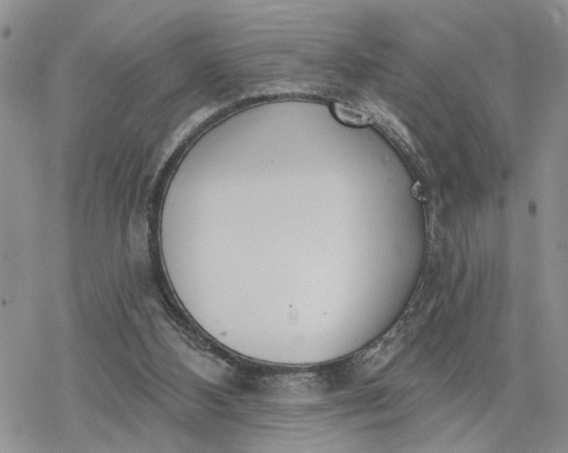 X0000078230108200611171443