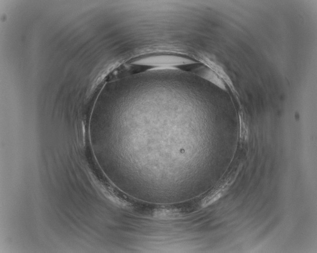 X0000078230109200611171443