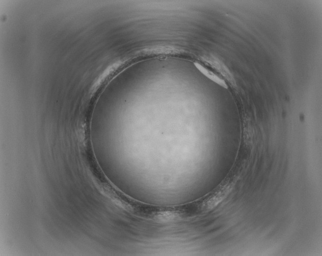 X0000078230111200611171443