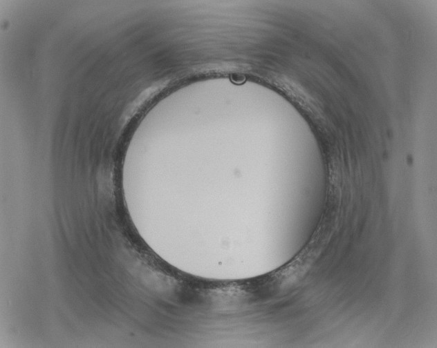 X0000078230112200611171443