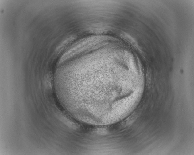 X0000078230114200611171443