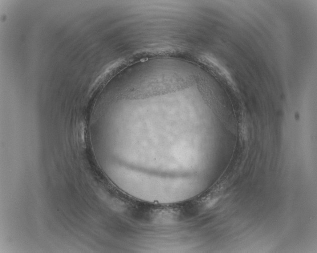 X0000078230115200611171443