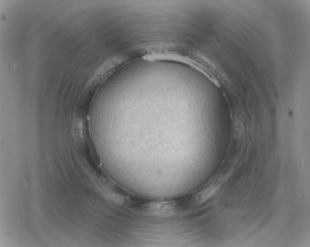 X0000078230117200611171443