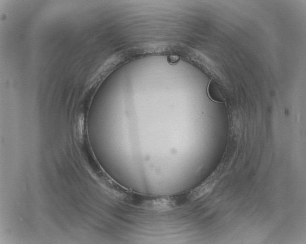 X0000078230118200611171443