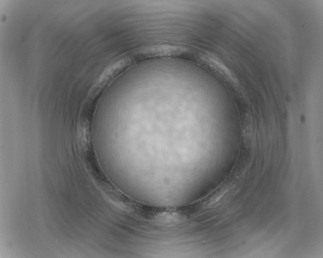 X0000078230119200611171443