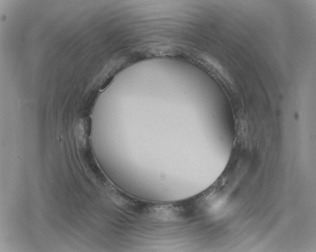 X0000078230121200611171443