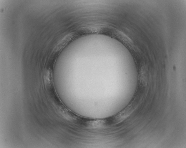 X0000078230122200611171443