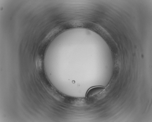 X0000078230124200611171443