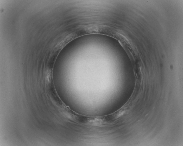 X0000078230125200611171443