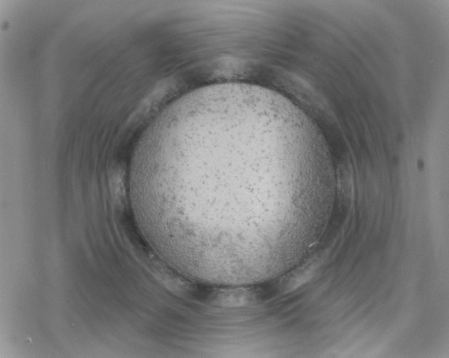 X0000078230127200611171443