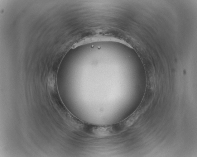 X0000078230129200611171443