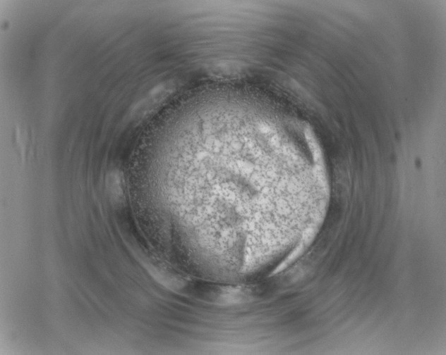 X0000078230130200611171443