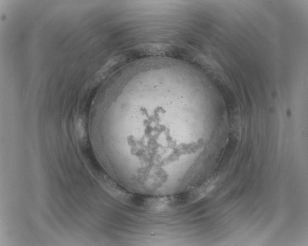 X0000078230131200611171443