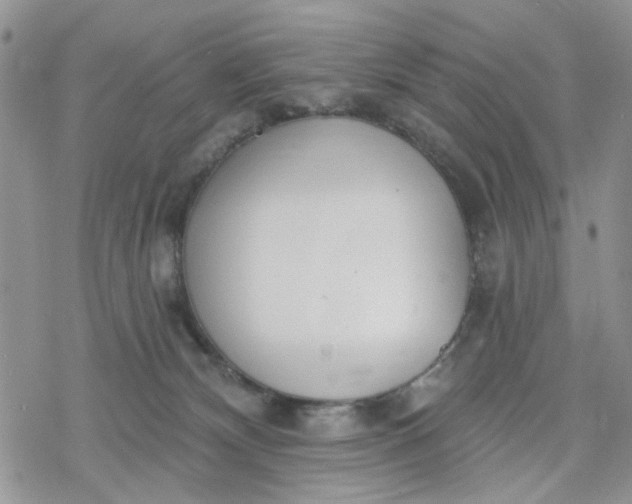 X0000078230132200611171443