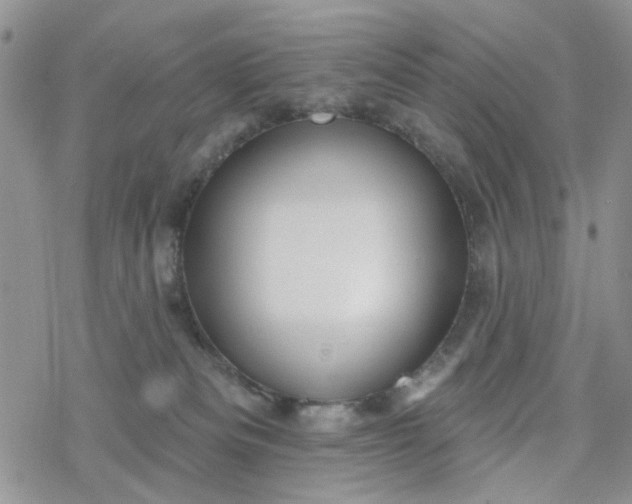 X0000078230133200611171443