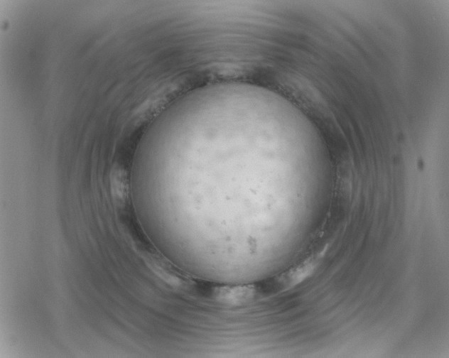 X0000078230135200611171443