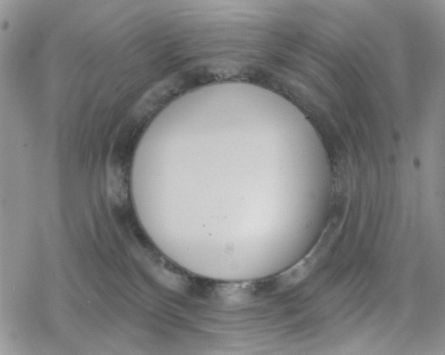 X0000078230136200611171443