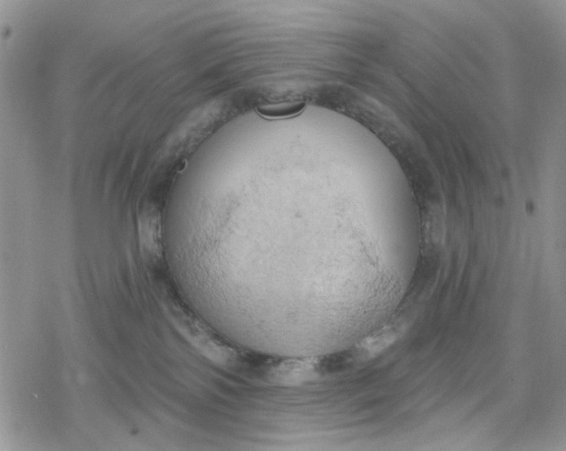 X0000078230138200611171443