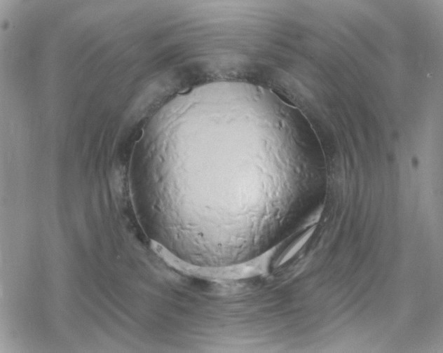 X0000078230139200611171443