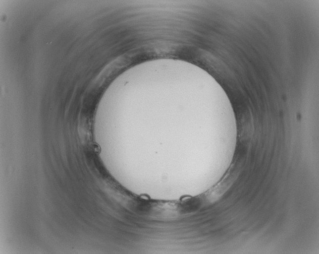 X0000078230140200611171443