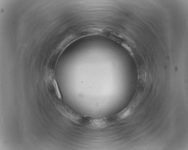 X0000078230141200611171443