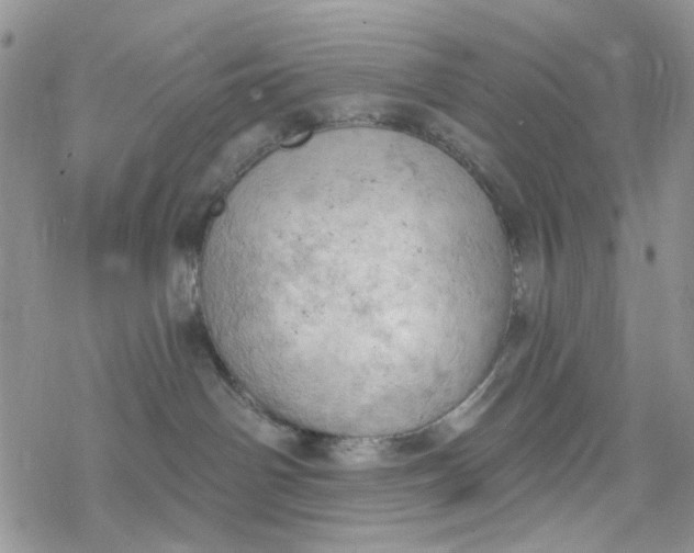 X0000078230142200611171443