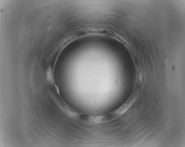 X0000078230143200611171443