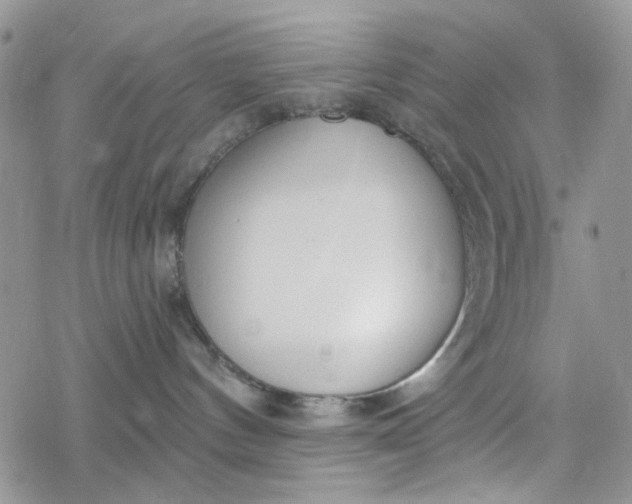 X0000078230144200611171443