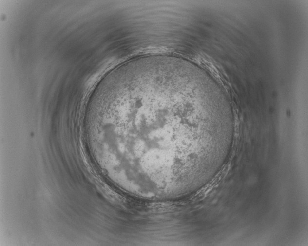 X0000078230145200611171442