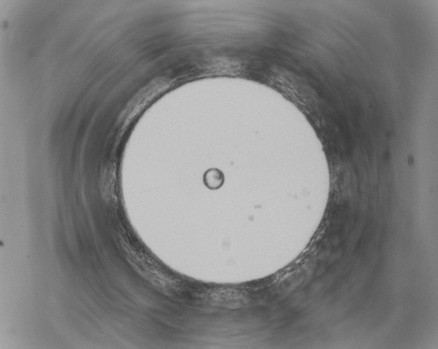 X0000078230146200611171442