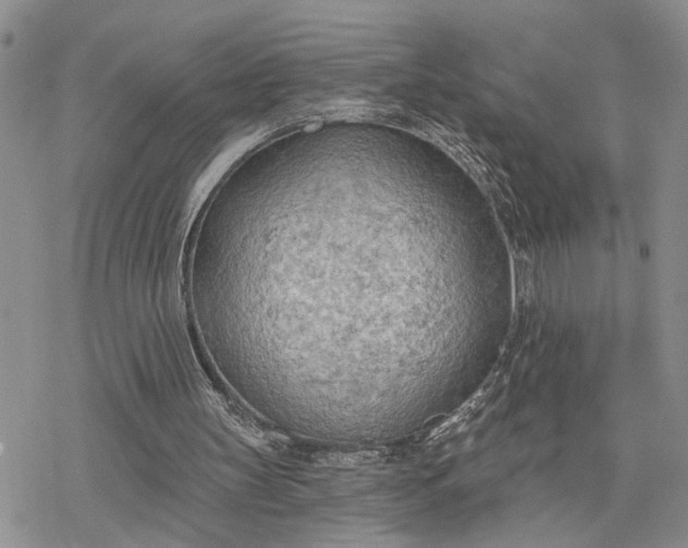 X0000078230147200611171442