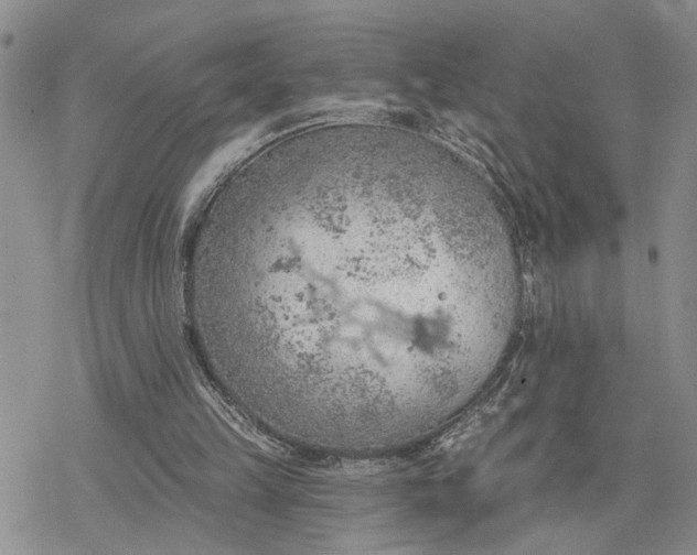 X0000078230149200611171442