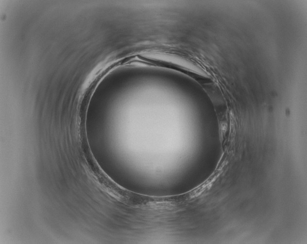 X0000078230150200611171442