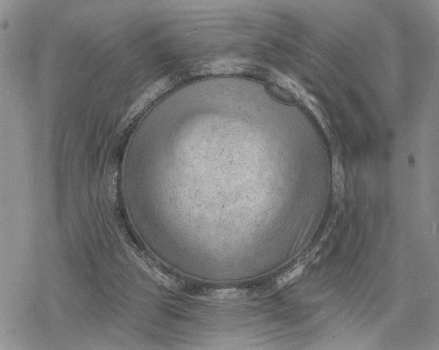 X0000078230153200611171442