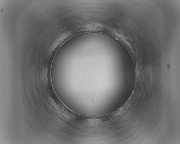 X0000078230154200611171442