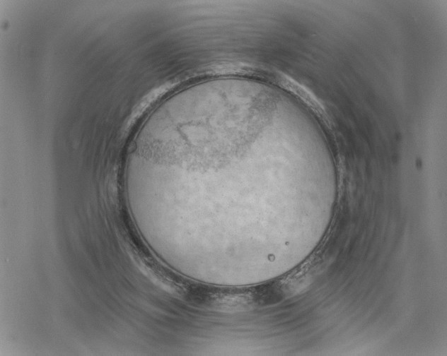 X0000078230155200611171442