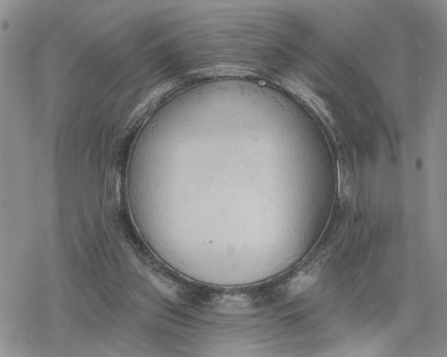 X0000078230157200611171442