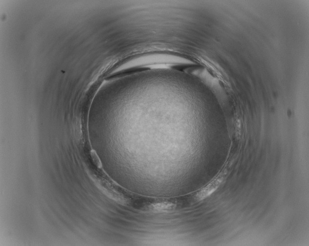 X0000078230158200611171442