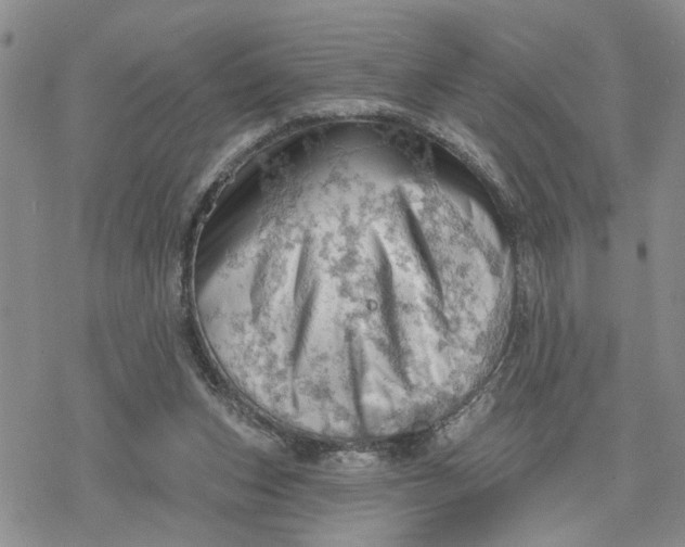 X0000078230159200611171442