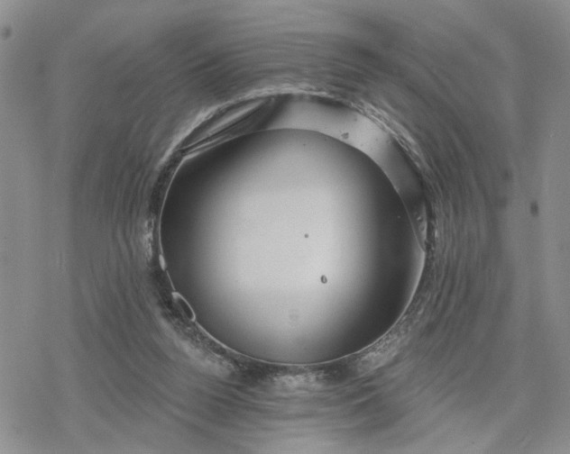 X0000078230160200611171442