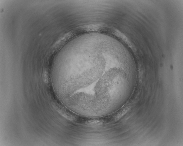 X0000078230161200611171442