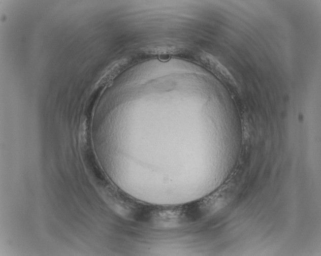 X0000078230163200611171442