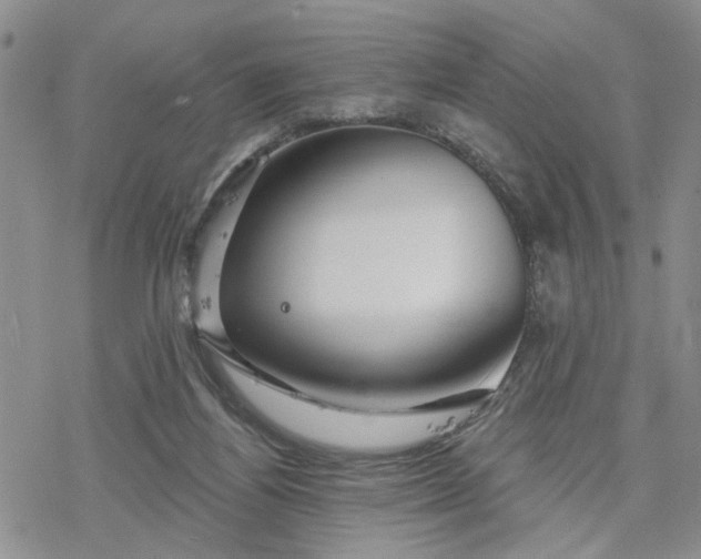 X0000078230164200611171442