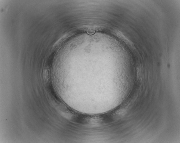 X0000078230165200611171442