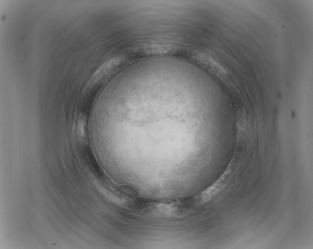 X0000078230166200611171442