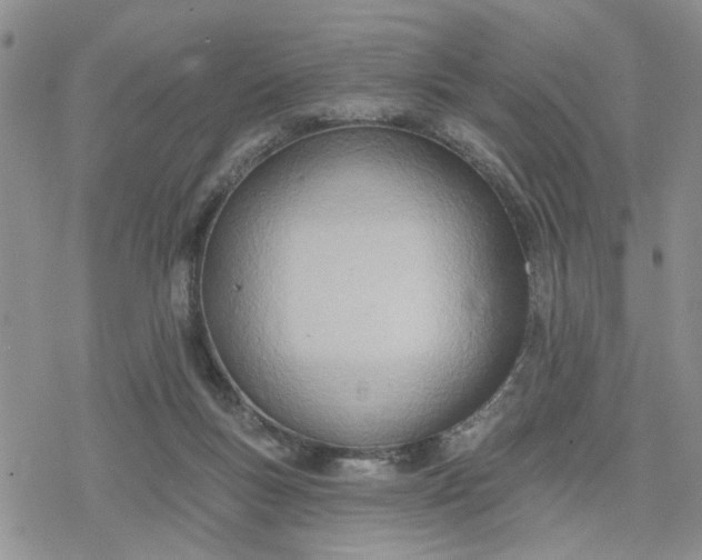 X0000078230167200611171442