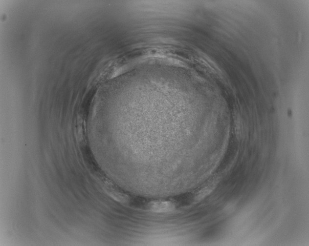 X0000078230169200611171442